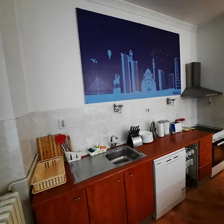 Authentic Centre #3, Four Bedrooms And Two Full Bathrooms Daire Belgrad