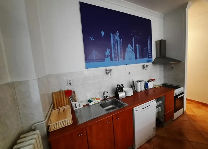 Authentic Centre #3, Four Bedrooms And Two Full Bathrooms アパート ベオグラード